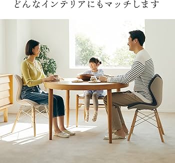 Amazon.co.jp: Style PREMIUM Series MTG Bone Support Chair, Seat