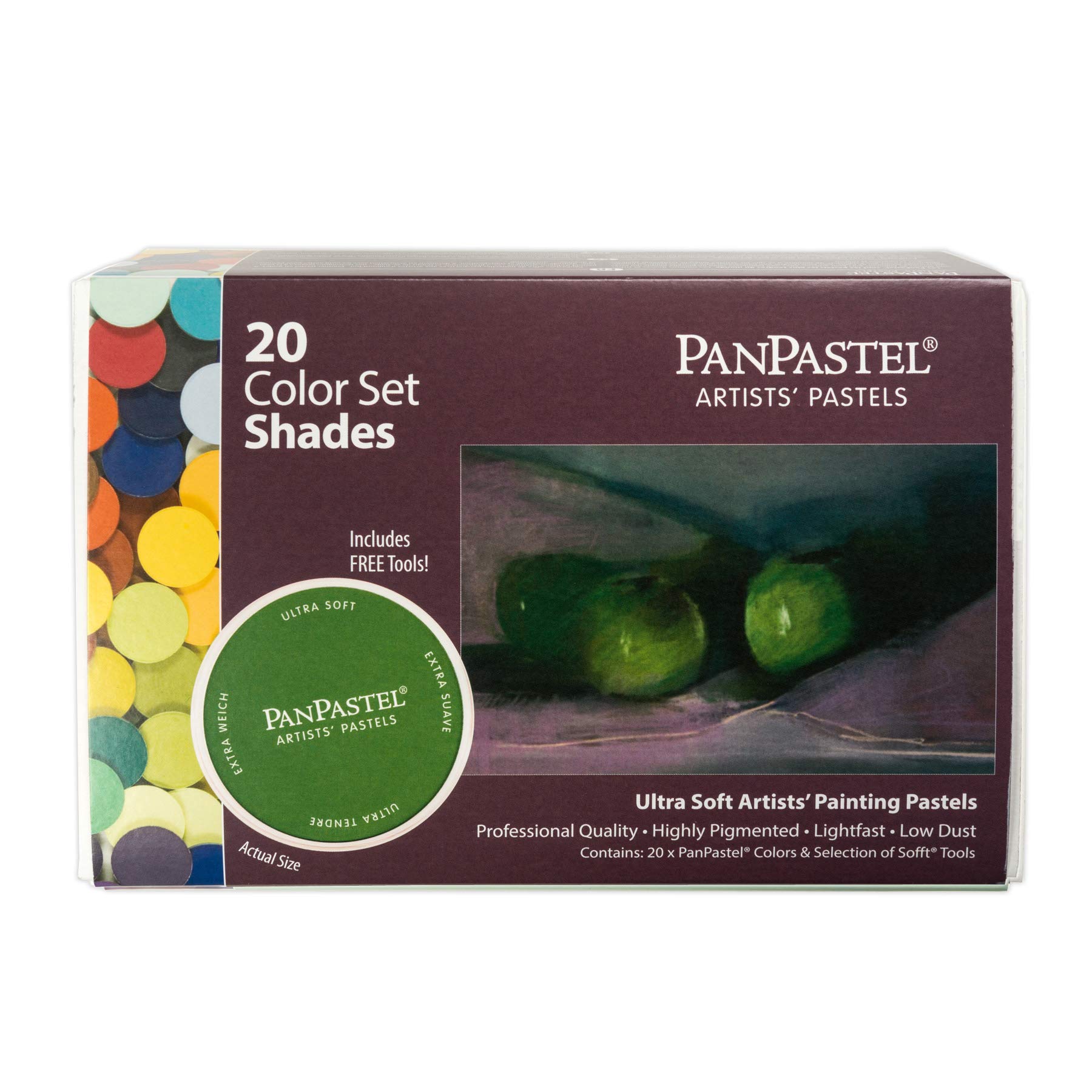 Amazon.com: PanPastel Artist Pastels by GOLDEN, Shades Set, 20