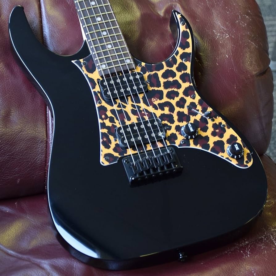 Amazon.com: Ibanez GIO GRG121SP Electric Guitar - Black Night