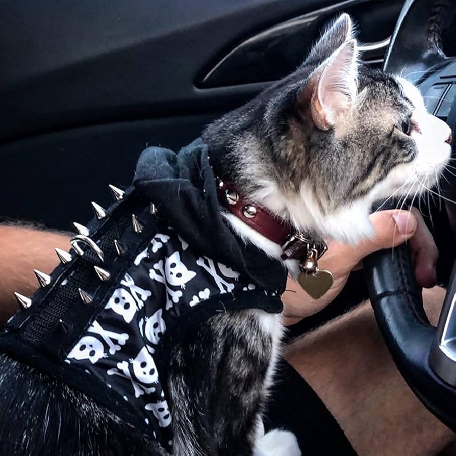 Amazon.com: zhuohai 100 Pairs Cone Spikes Screwback Studs, Cone