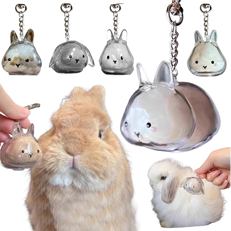 Amazon | ウサギの毛 キーホルダー ペット 遺毛 ケース 透明 うさぎ 毛