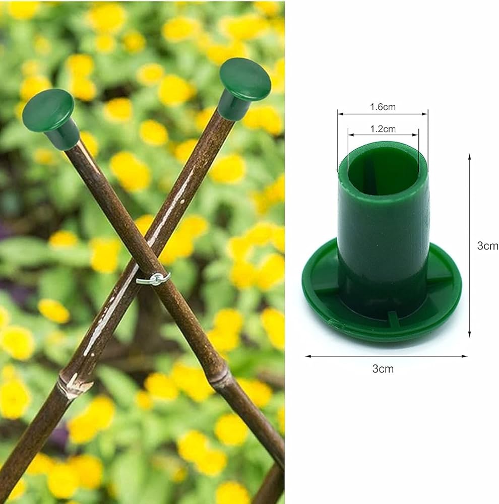 71BTuViBcNL._AC_UF1000,