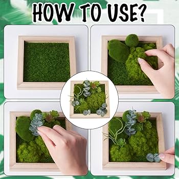 71BUKFIIorL._AC_UF350,