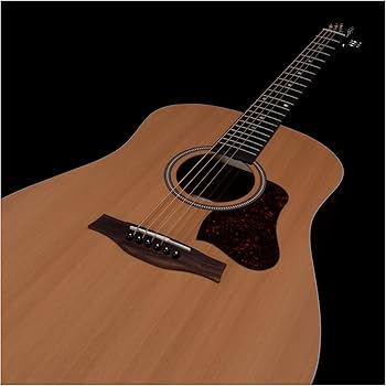 Amazon | Seagull S6 Original NAT アコースティックギター シーガル