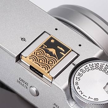 71Bs5fxwNxL._AC_UF350,