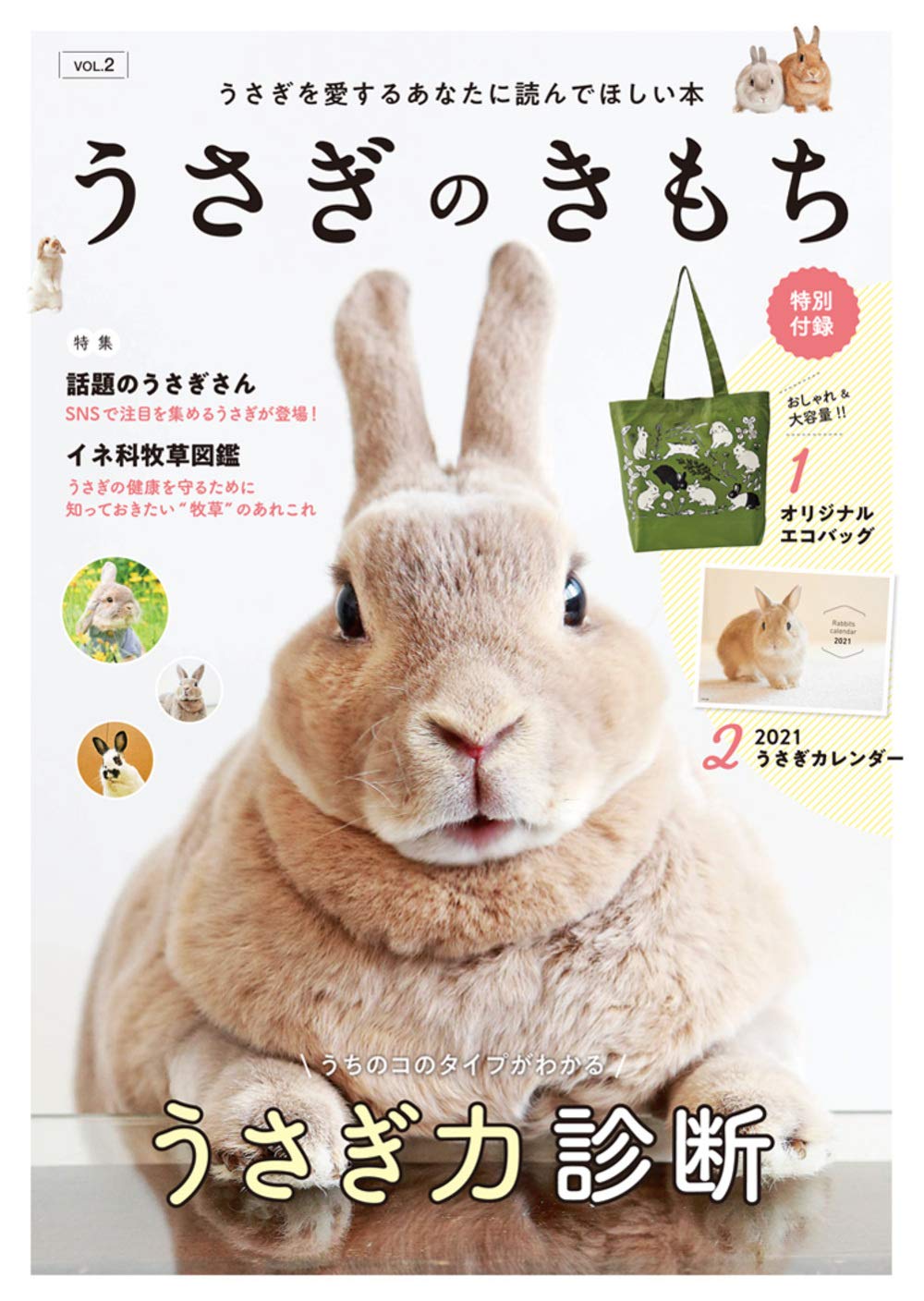 うさぎのきもちVol.2 ([バラエティ]) |本 | 通販 | Amazon