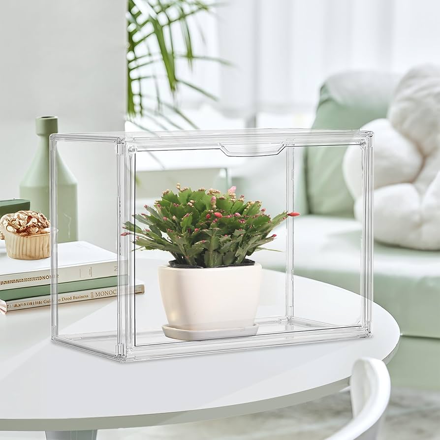 Amazon.com: Acrylic Display Case 5 Pack Acrylic Box with Magnetic