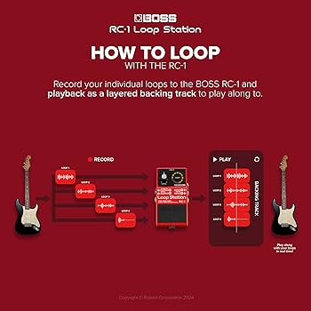Amazon.com: BOSS RC-1 Loop Station Pedal | Industry Standard