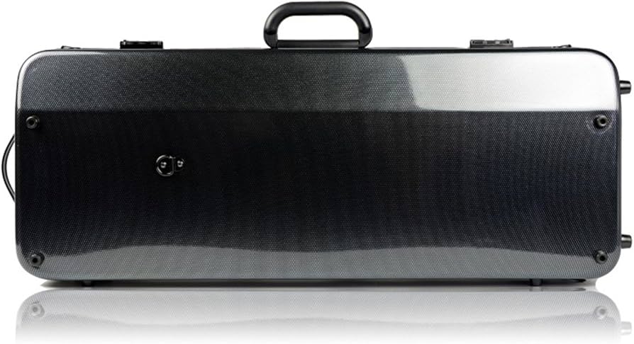 Amazon.com: Bam Hightech 2005XLC Black Carbon 4/4 Double Violin