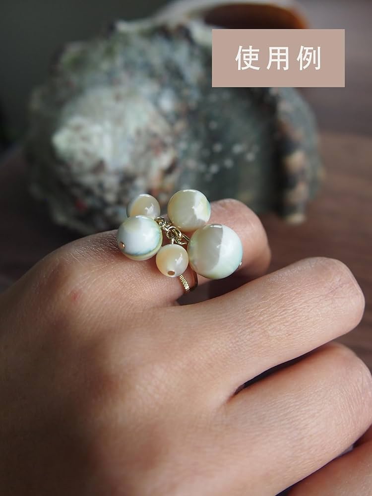 Amazon.co.jp: 【貝殻の問屋さん】夜光貝ビーズ【約8mm(約10cm・約12個