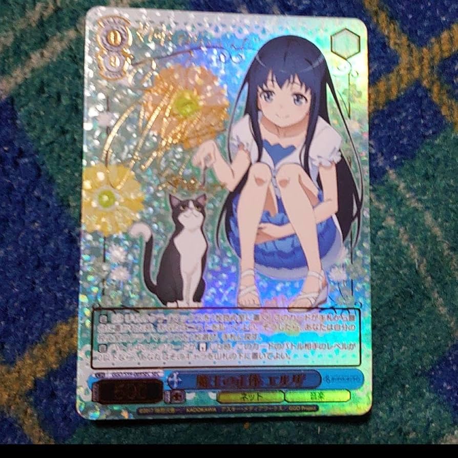 WS ヴァイスシュヴァルツ 魔王の正体 エルザ SEC サイン GGO SAO