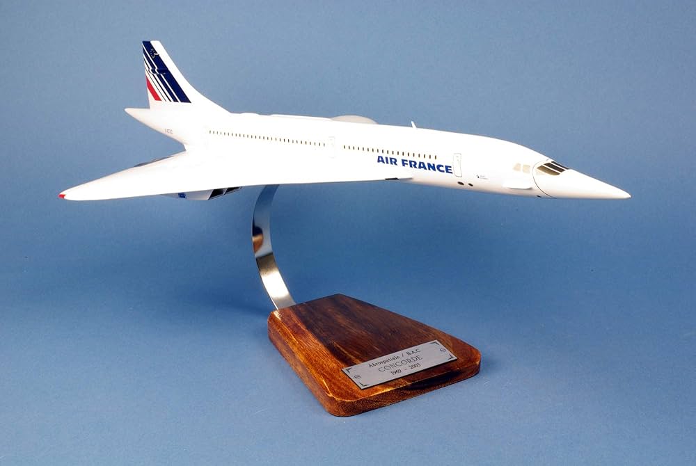 Concorde AIR France 1:100 F-BTSD Large Scale Model Kit : Amazon
