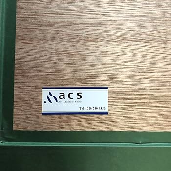 Amazon.co.jp: 垣野内成美 リトグラフ 燐花〜吸血姫美夕 直筆サイン