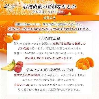 Amazon.co.jp: 柑橘の王様 激甘 せとか みかん 蜜柑 みかん 糖度14.5