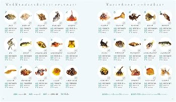 71Dd-O1OzbL._AC_UF350,