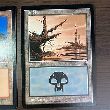 Amazon.co.jp: MTG 簡体字 POR 絵違い 土地 5種セット 中国語版