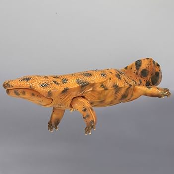 Amazon | ソフビトイボックス 010 オオサンショウウオ(明色) 大山椒魚