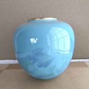 71EWC1GoiaL._AC_UF350,