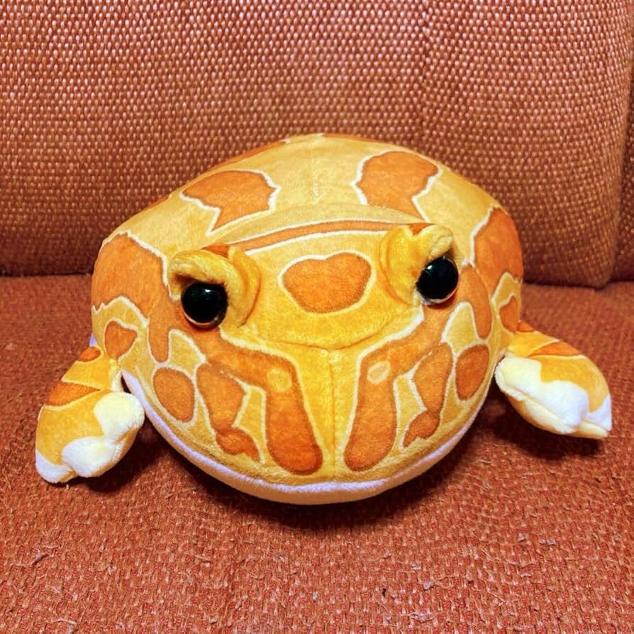 Amazon.co.jp: ツノガエルくじ ツノガエル カエル アプリコット