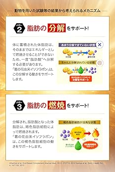 Amazon | シボヘール3 120粒入り (1日4粒 30日分) 機能性表示食品 肥満