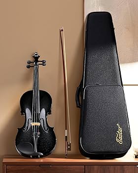 Amazon | Eastar バイオリン ヴァイオリン 4/4 単板 ソリッド