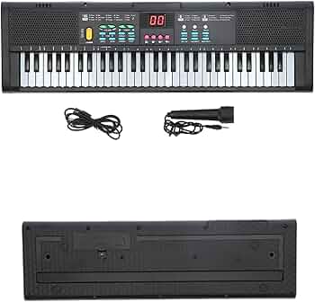 71Ev8zLdIIL._AC_UF350,