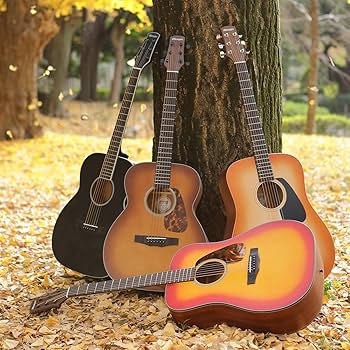 Amazon.co.jp: Morris モーリス Perfomers Edition F-021 VS