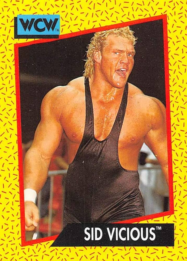 Amazon.com: 1991 Impel WCW Wrestling #24 Sid Vicious Official