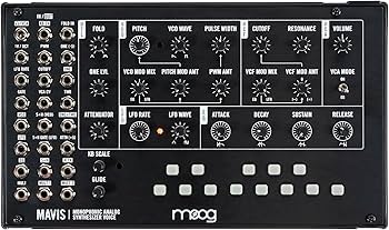 Amazon.co.jp: MOOG Mavis キーボード付きスタンドアロン・セミ