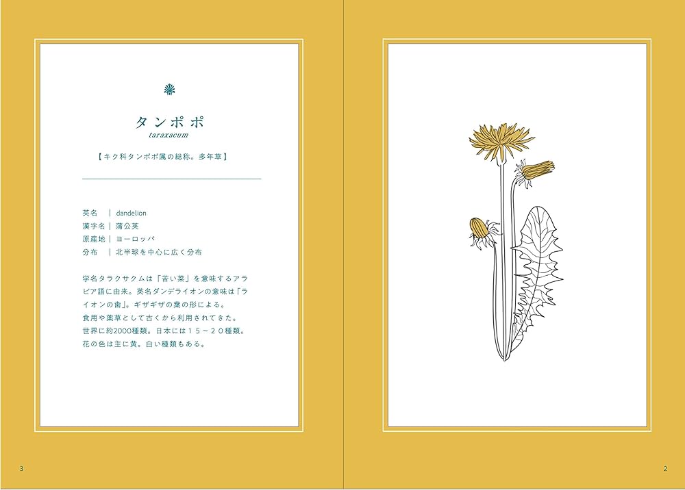 たんぽぽの秘密 | 森乃おと, ささきみえこ |本 | 通販 | Amazon