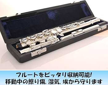 Amazon | EXDUCT フルートケース 16穴用 フルート ケース 楽器 ハード