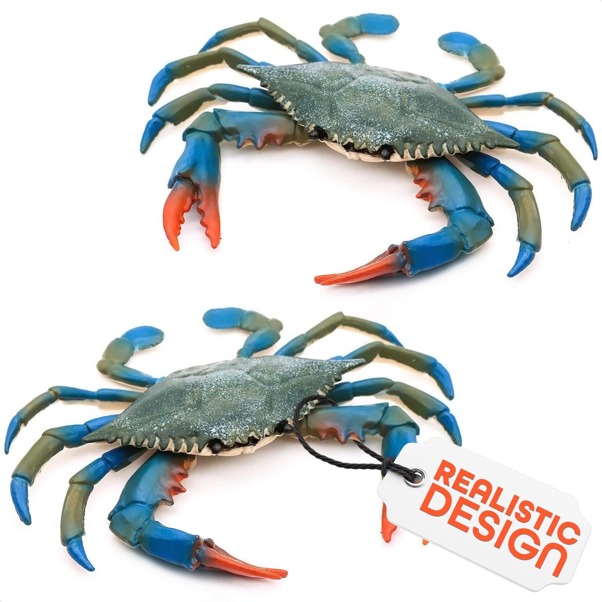 Amazon.com: 2 Pcs Blue Crab Toy - 6.6 X 5.3