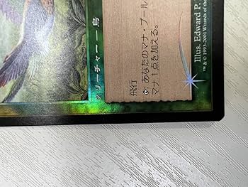 Amazon.co.jp: MTG 極楽鳥 Birds of Paradise 7ED Foil 日本語 : おもちゃ