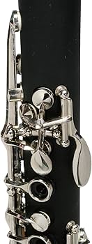 Amazon.co.jp: Zeff クラリネット B♭管 ベーム式 ベークライト樹脂管