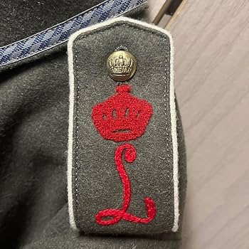 Amazon.co.jp: WW1 帝政ドイツ軍 バイエルン王国 M16野戦服 : おもちゃ