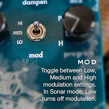Amazon.com: Fathom Multi-Function Reverb : Musical Instruments