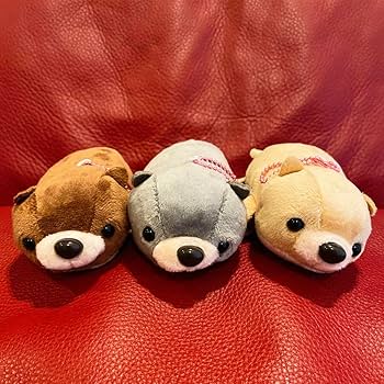 Amazon.co.jp: カワウソ兄弟 ぬいぐるみ マスコット 全3種セット 約