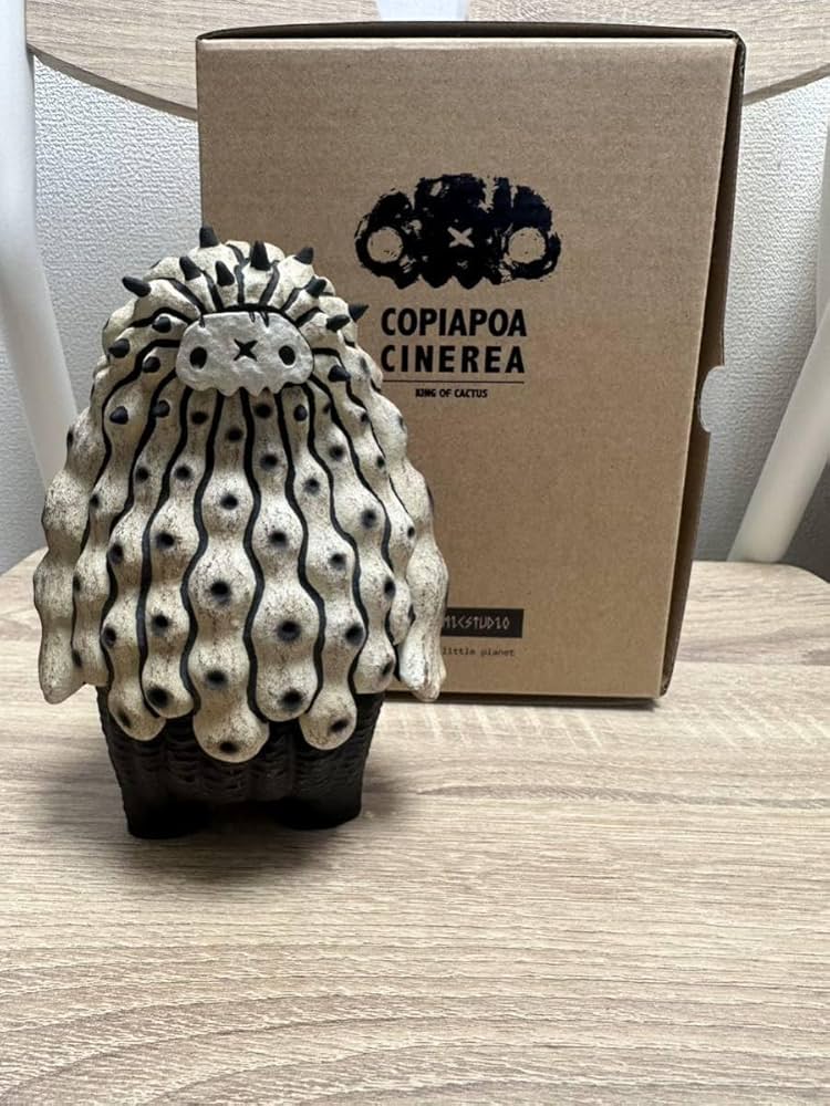 Amazon.co.jp: Robin Huang Copiapoa Cinerea 羅本黑王丸 : パソコン