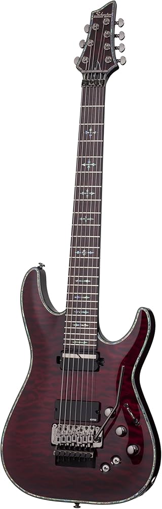 Amazon.com: Schecter Hellraiser C-7 with Floyd Rose and Sustainiac