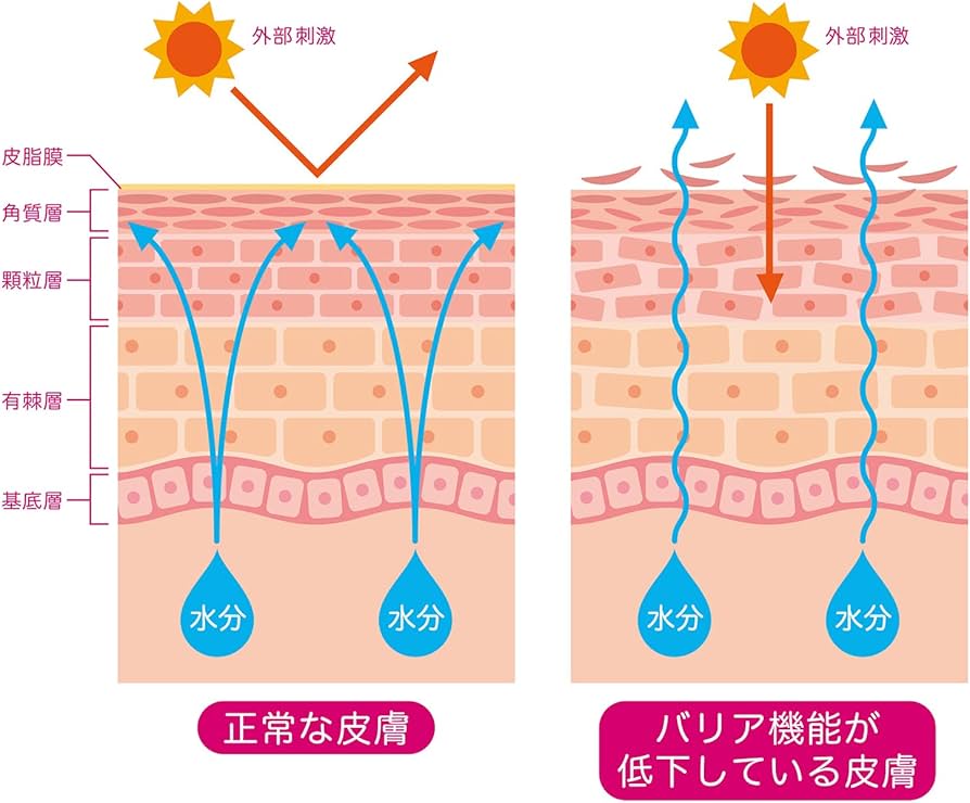 Amazon | サンミモレ 新スキンケアファンデーションS31号 アイボリー