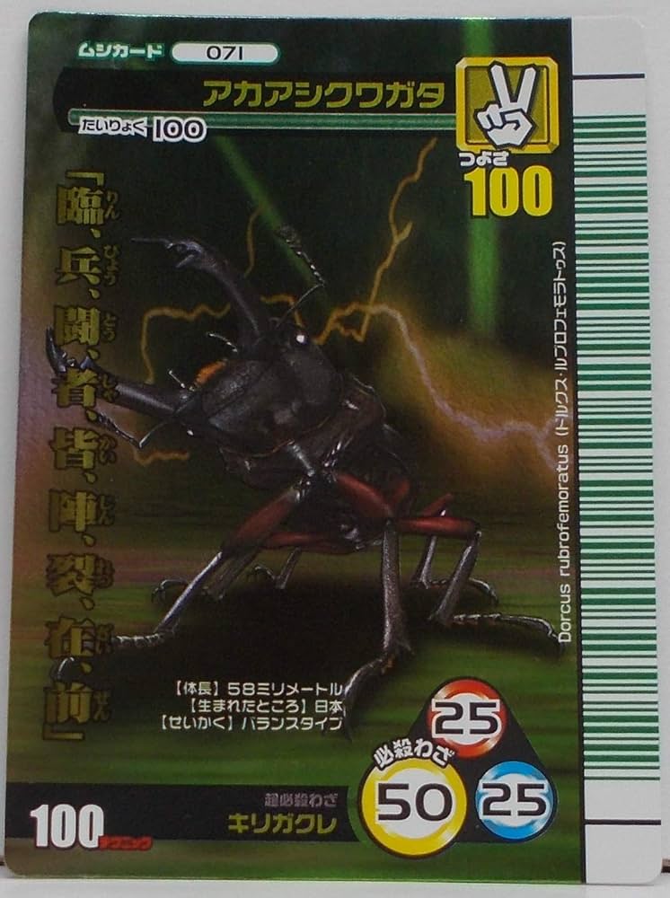 Amazon.co.jp: 【071-2007 夏シャイニング(おもて）】アカアシクワガタ