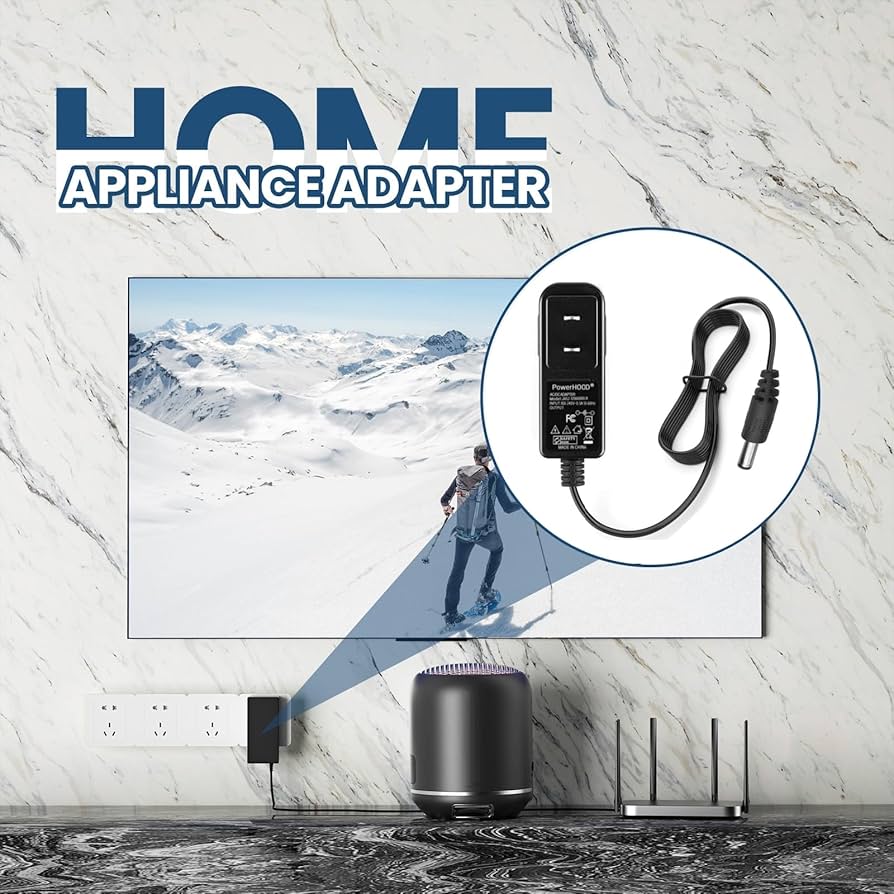 Amazon.com: PowerHOOD 12V AC/DC Adapter Compatible with Diezel