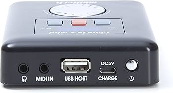 Amazon.com: PianoBox Mini General MIDI Sound Module : Musical