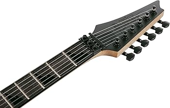 Amazon | Ibanez(アイバニーズ) GIOシリーズ エレキギター ダブル