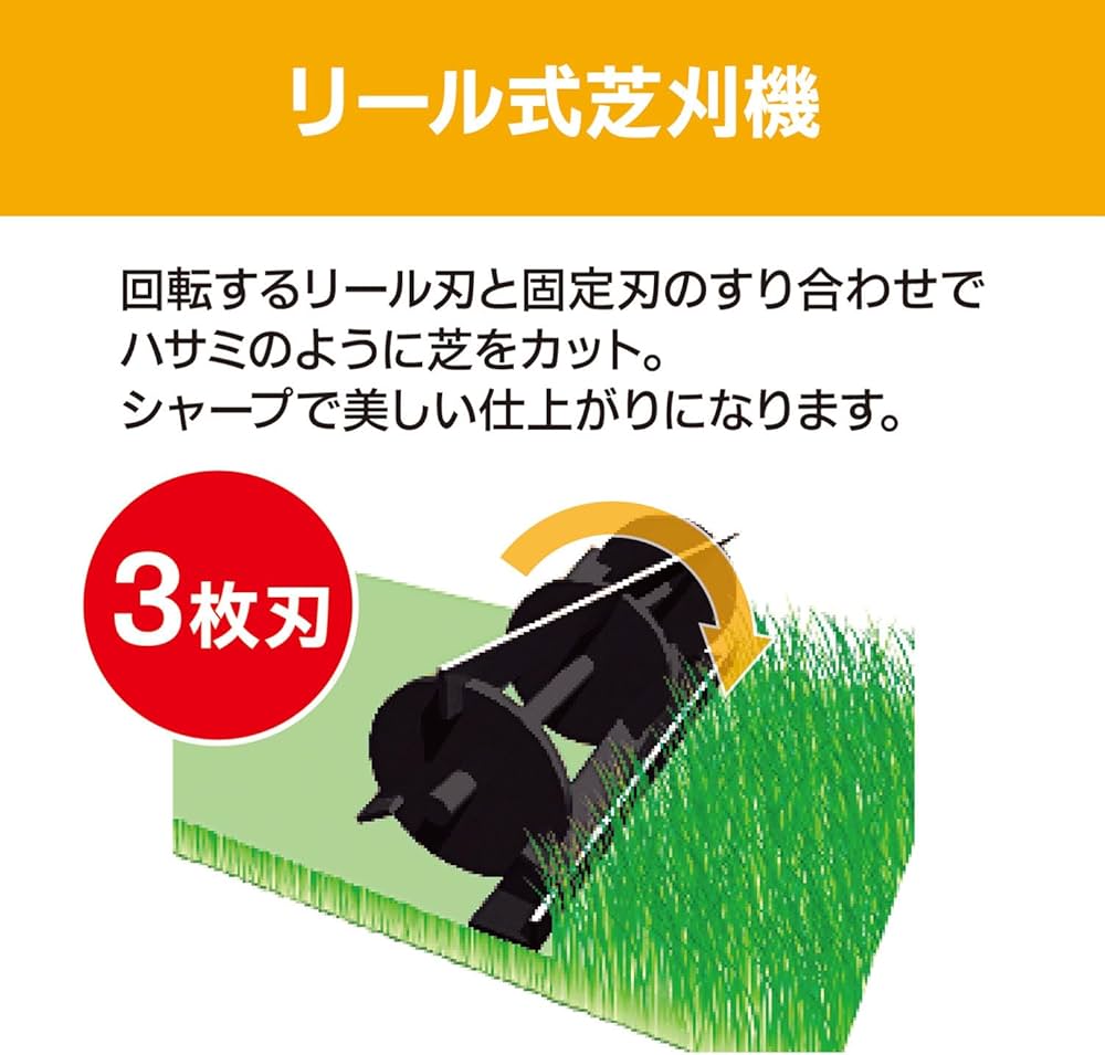 71HkMIt69BL._AC_UF1000,