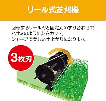 71HkMIt69BL._AC_UF350,