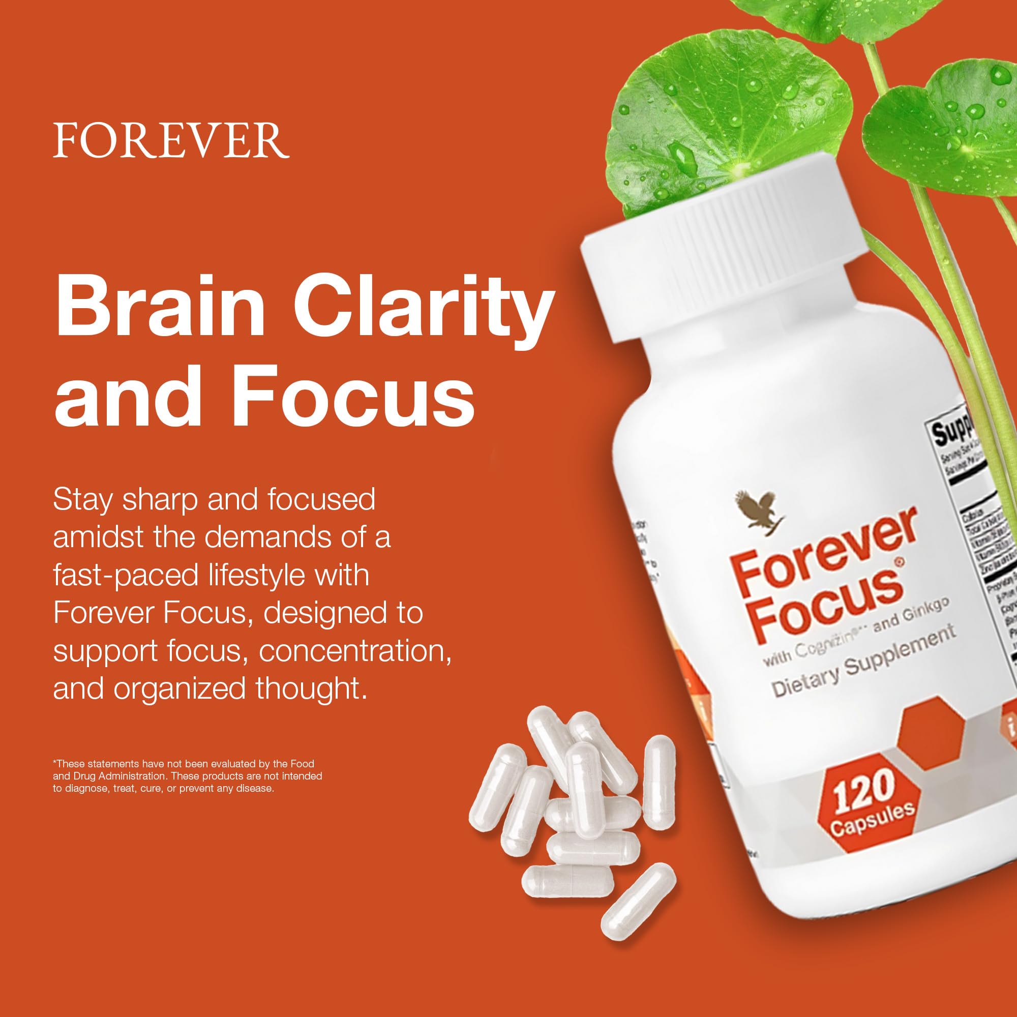 Amazon.com: Forever Living - Forever Focus - Brain Clarity and
