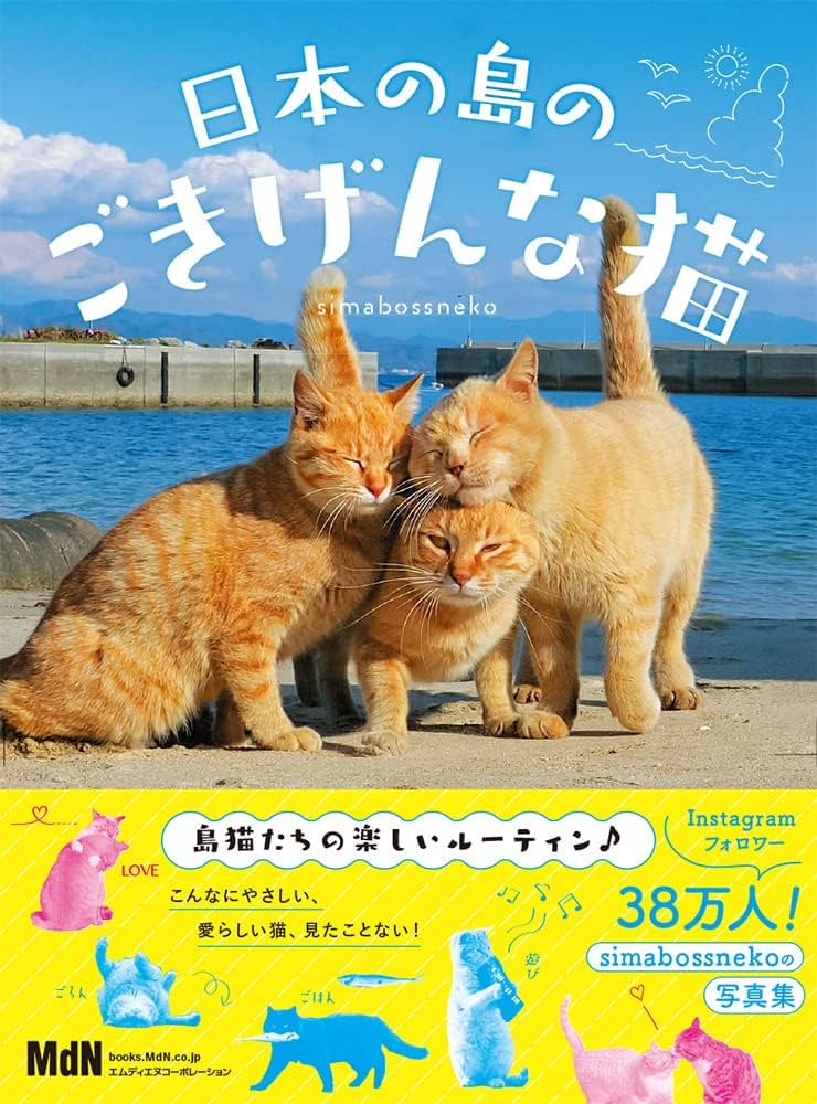 日本の島のごきげんな猫 | simabossneko |本 | 通販 | Amazon