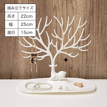 Amazon｜ZEMUS アクセサリースタンド ピアススタンド イヤリング