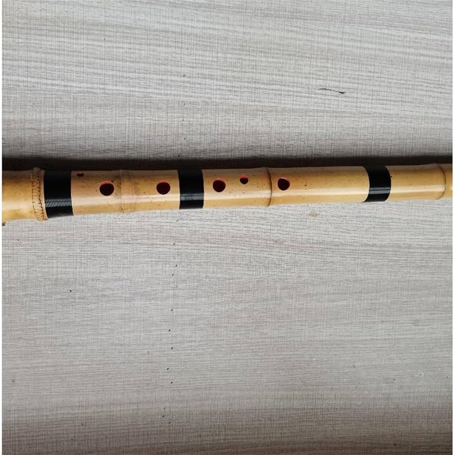 Amazon | shakuhachi五孔尺八楽器初学入門シャクハッチ七孔尺八桂竹